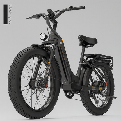 TorqueMaxx All-Terrain Electric Bike